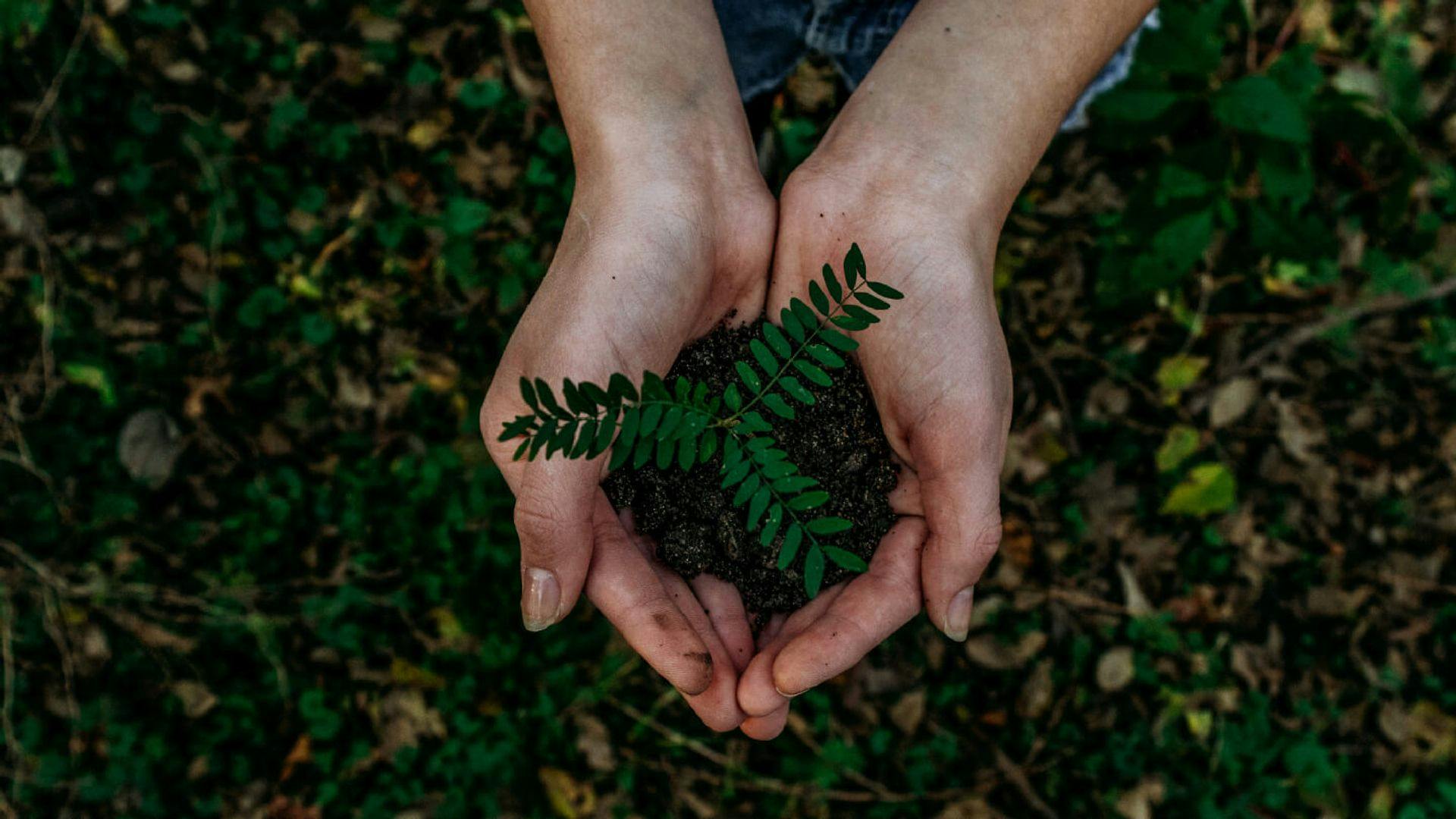 Cover Image for Transform Your Supply Chain: A Guide To Sustainable Sourcing